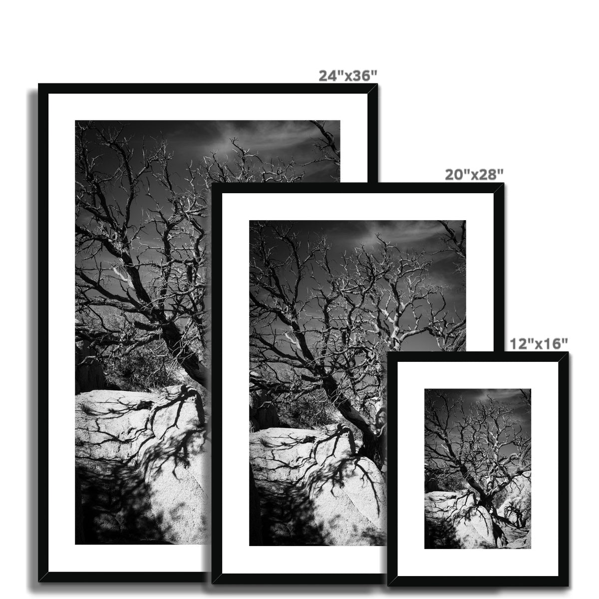 Patience Framed & Mounted Print