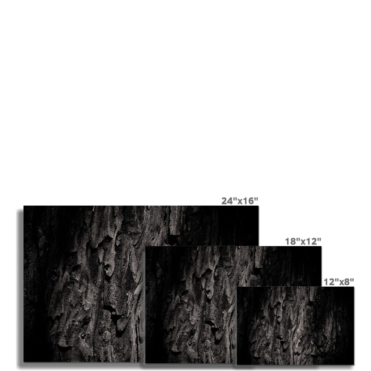 Time Scales Hahnemühle Photo Rag Print