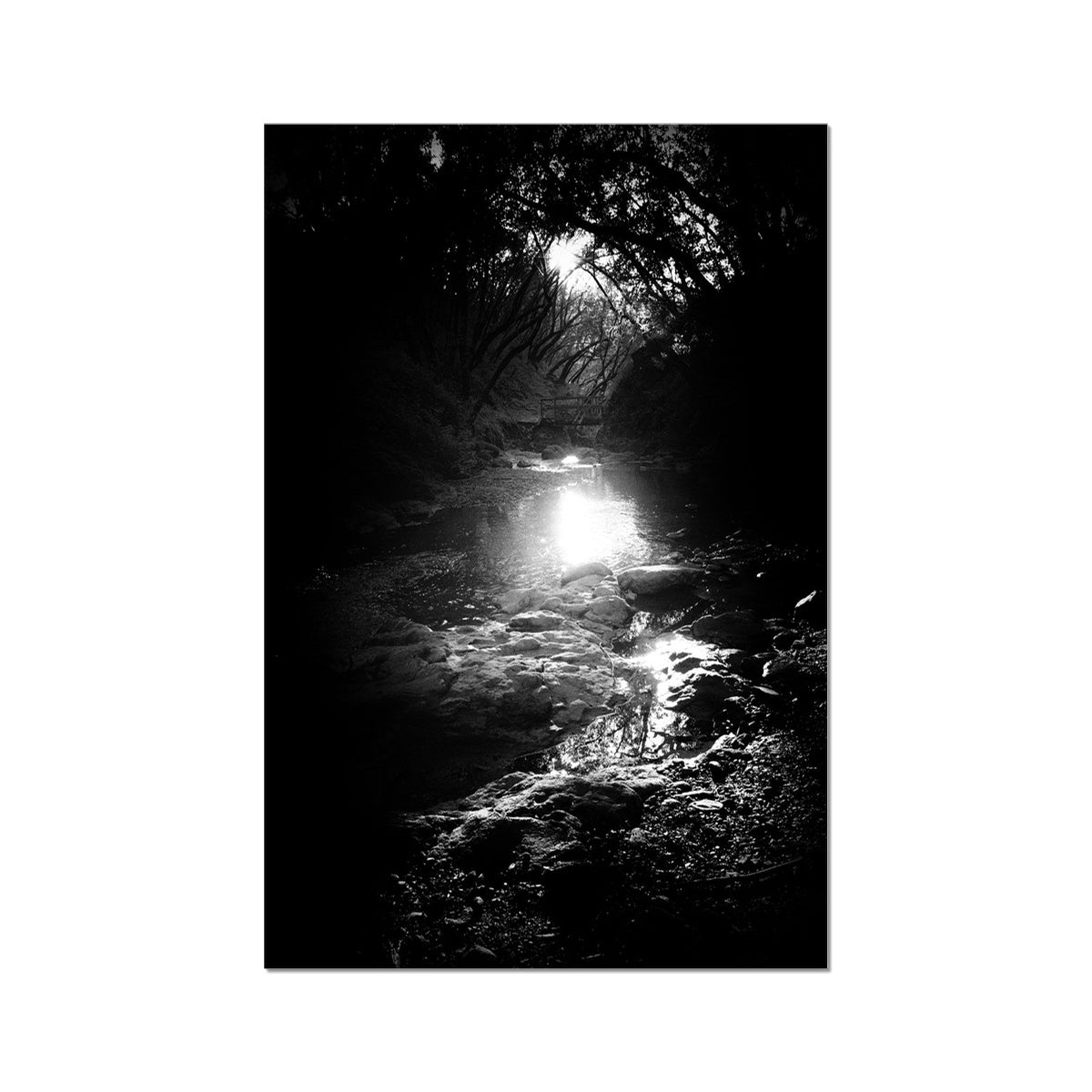 Where the light gets in Hahnemühle Photo Rag Print