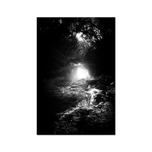 Where the light gets in Hahnemühle Photo Rag Print