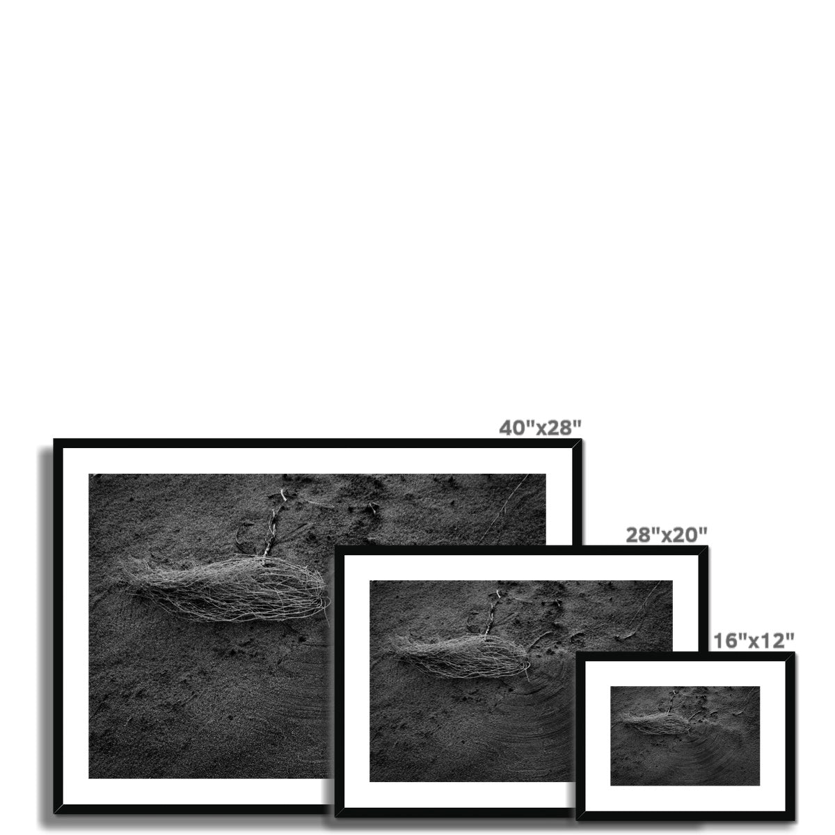 Forever Sweeping Framed & Mounted Print