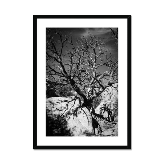 Patience Framed & Mounted Print