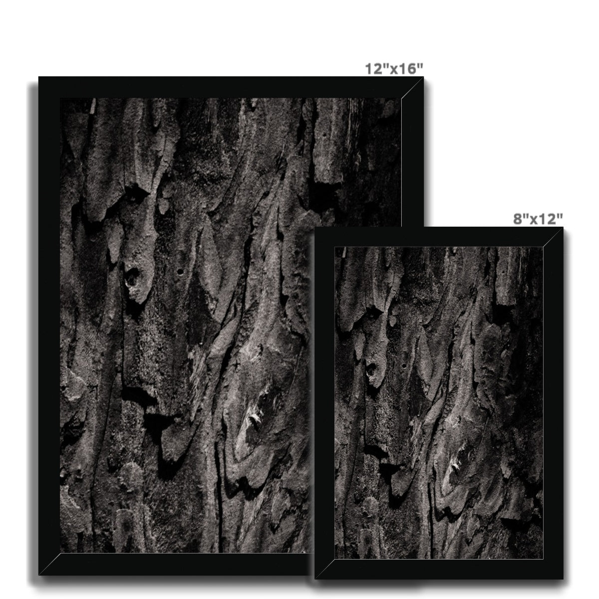 Time Scales Framed Print