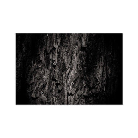 Time Scales Hahnemühle Photo Rag Print