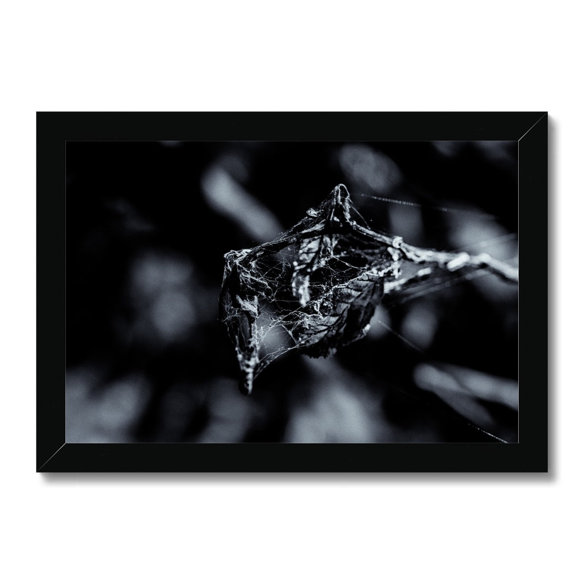 Filament Framed Print