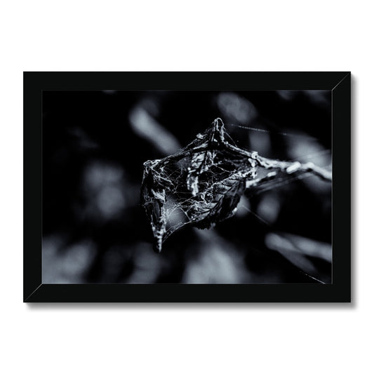 Filament Framed Print