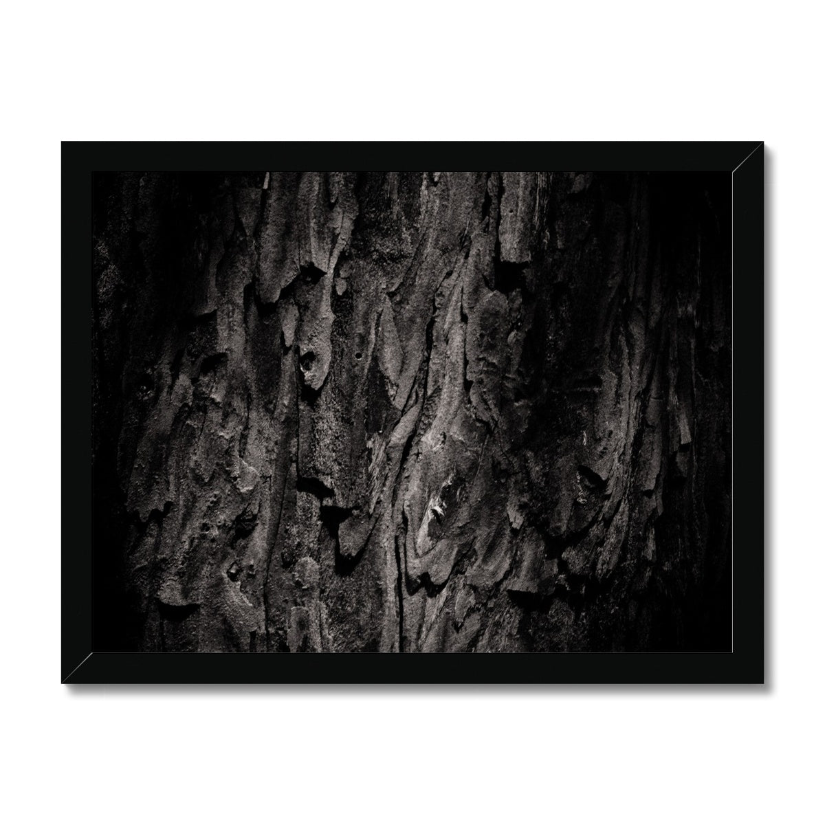 Time Scales Framed Print