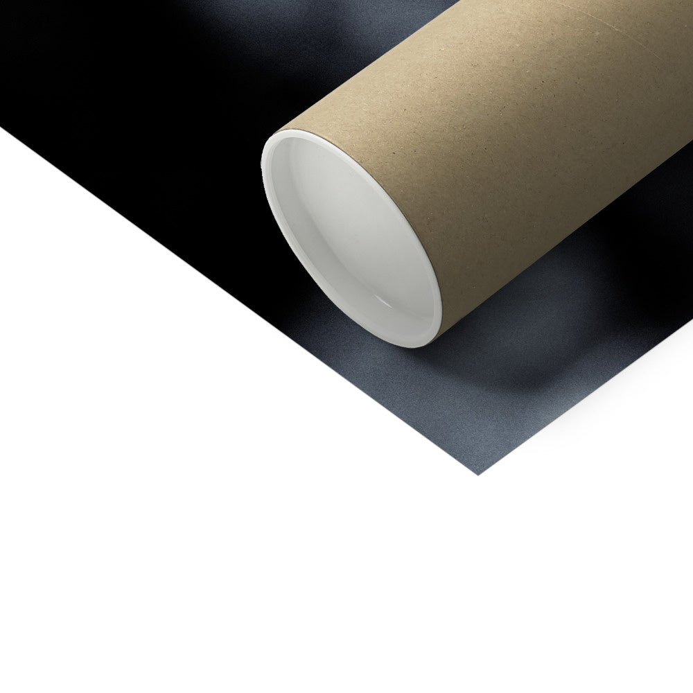 Filament Hahnemühle Photo Rag Print