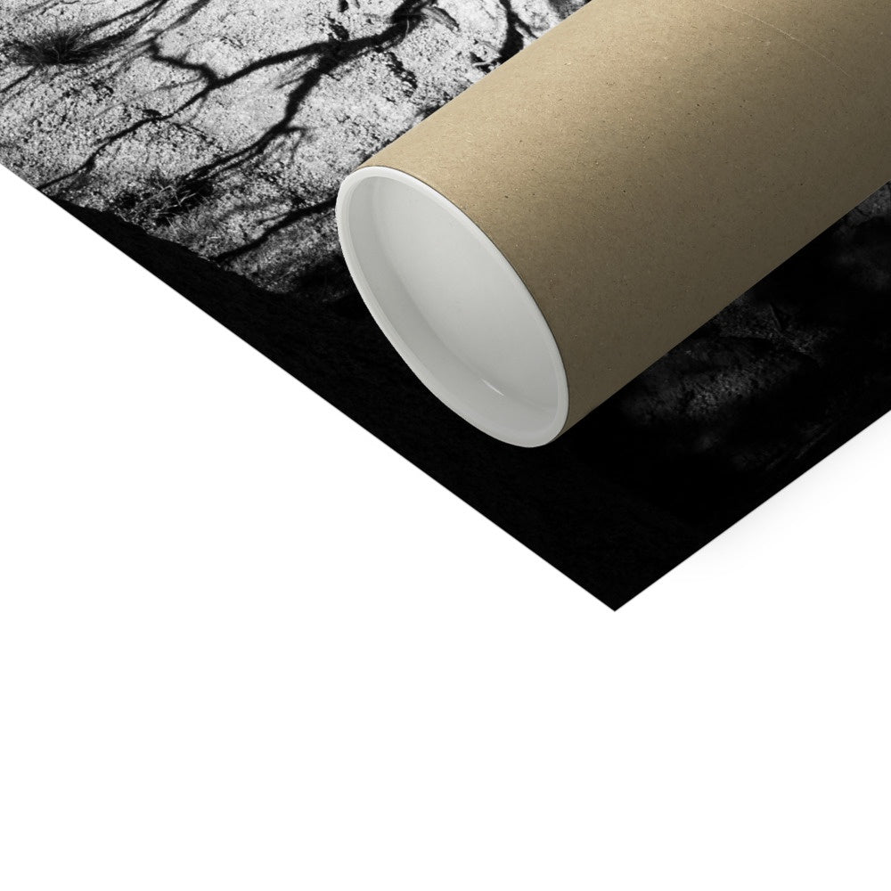 Patience Hahnemühle Photo Rag Print