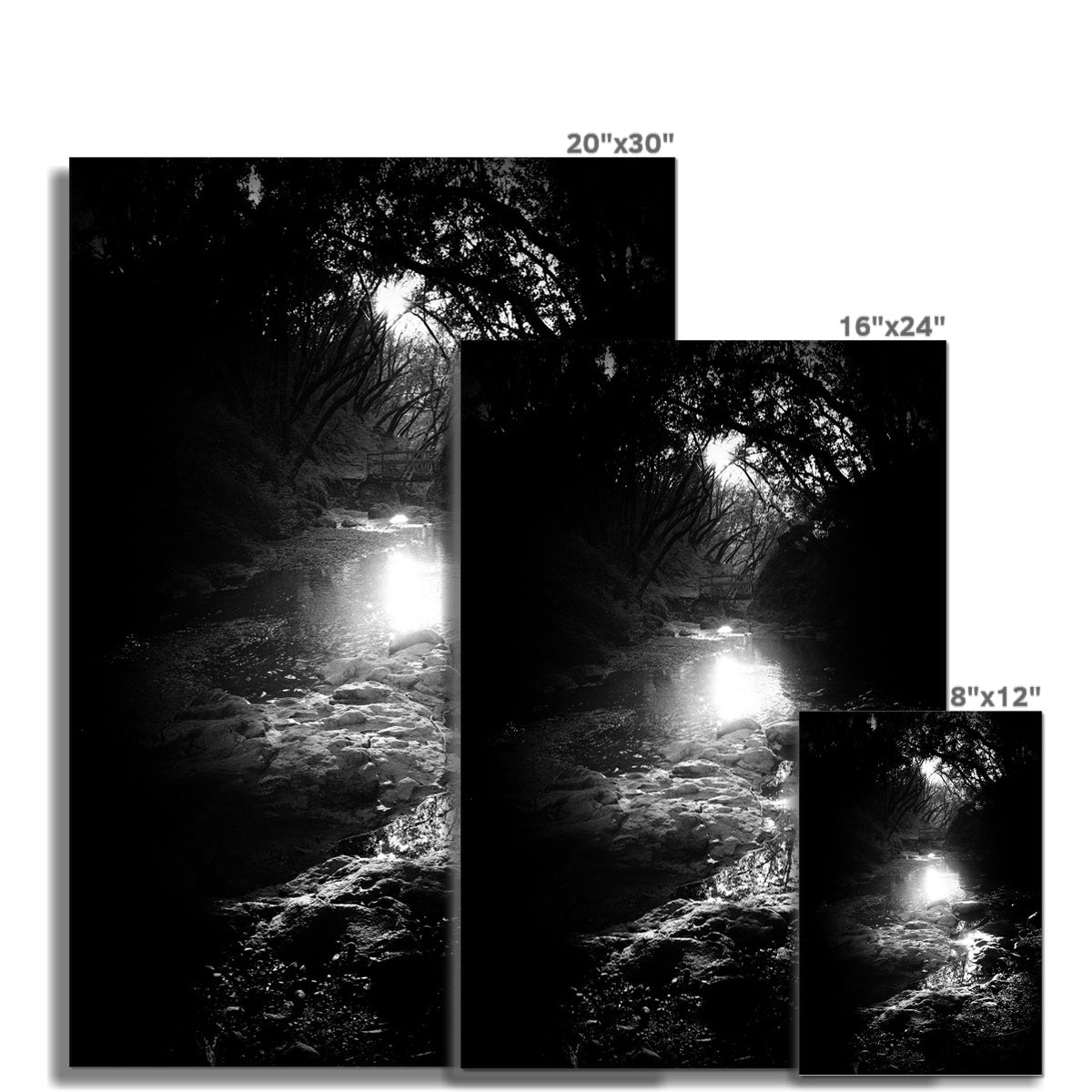 Where the light gets in Hahnemühle Photo Rag Print
