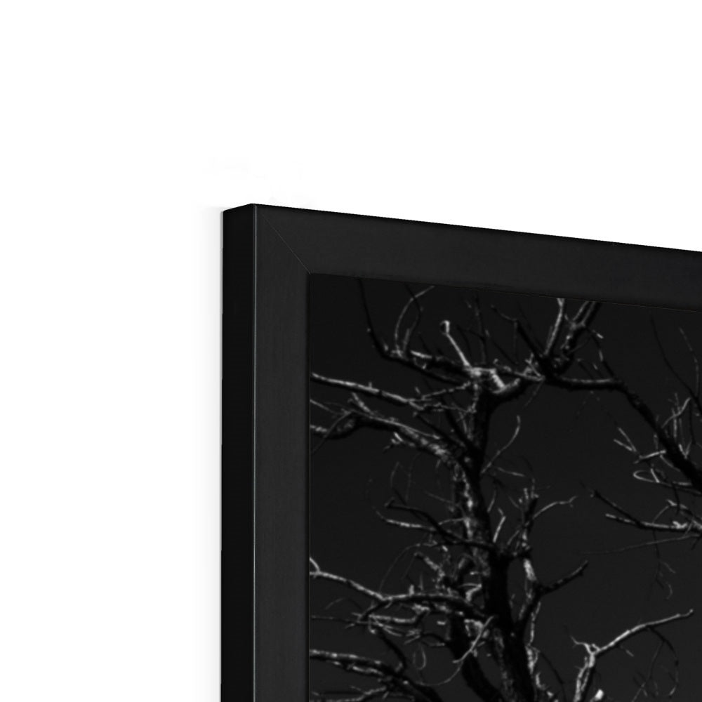 Patience Framed Print