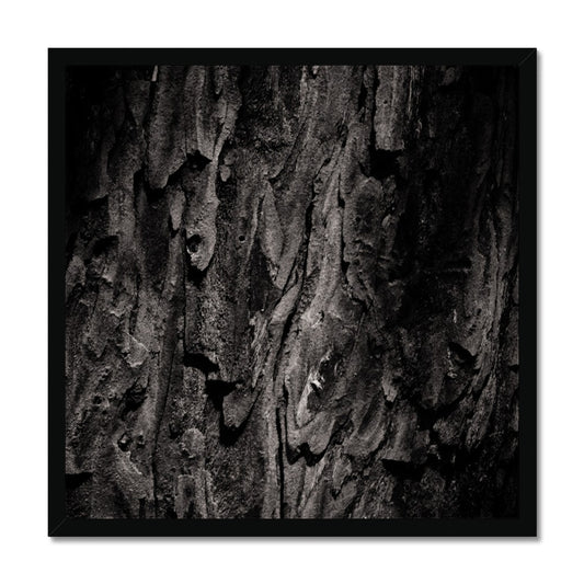 Time Scales Framed Print