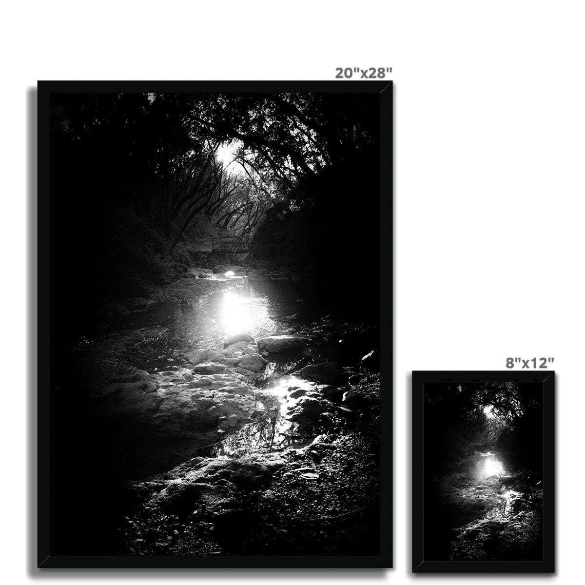 Where the light gets in Framed Print